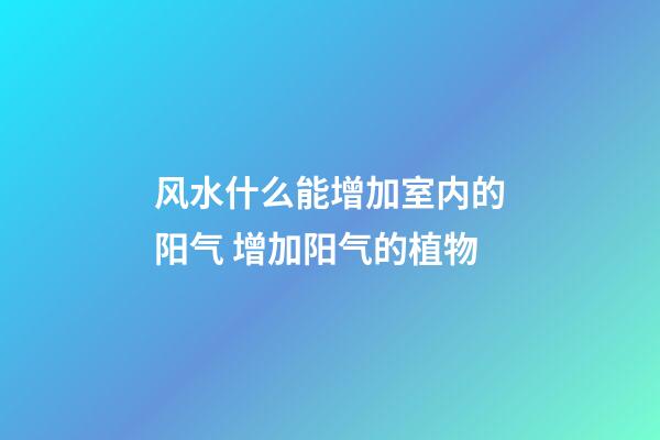 风水什么能增加室内的阳气 增加阳气的植物